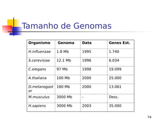 74
Tamanho de Genomas
Organismo Genoma Data Genes Est.
H.influenzae 1.8 Mb 1995 1.740
S.cerevisiae 12.1 Mb 1996 6.034
C.elegans 97 Mb 1998 19.099
A.thaliana 100 Mb 2000 25.000
D.melanogast
er
180 Mb 2000 13.061
M.musculus 3000 Mb - Desc.
H.sapiens 3000 Mb 2003 35.000
 
