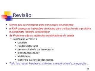 75
Revisão
 Genes são as instruções para construção de proteínas
 o RNA carrega as instruções do núcleo para o citosol onde a proteína
é sintetizada (células eucarióticos)
 As Proteínas são as moléculas trabalhadoras da célula
 Moléculas versáteis

catálise

rigidez estrutural

permeabilidade da membrana

sinalização celular

Motilidade

controle da função dos genes
 Tudo isto requer hardware, software, armazenamento, integração....
 