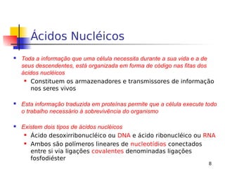 8
Ácidos Nucléicos
 Toda a informação que uma célula necessita durante a sua vida e a de
seus descendentes, está organizada em forma de código nas fitas dos
ácidos nucléicos
 Constituem os armazenadores e transmissores de informação
nos seres vivos
 Esta informação traduzida em proteínas permite que a célula execute todo
o trabalho necessário à sobrevivência do organismo
 Existem dois tipos de ácidos nucléicos
 Ácido desoxirribonucléico ou DNA e ácido ribonucléico ou RNA
 Ambos são polímeros lineares de nucleotídios conectados
entre si via ligações covalentes denominadas ligações
fosfodiéster
 