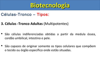 Células-Tronco – Tipos:
3. Células -Tronco Adultas (Multipotentes)
 São células indiferenciadas obtidas a partir da medula óssea,
cordão umbilical, intestino e pele.
 São capazes de originar somente os tipos celulares que compõem
o tecido ou órgão específico onde estão situadas.
BiotecnologiaBiotecnologia
 
