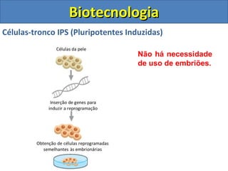 Células-tronco IPS (Pluripotentes Induzidas)
BiotecnologiaBiotecnologia
Não há necessidade
de uso de embriões.
 