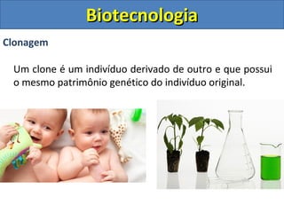 Clonagem
Um clone é um indivíduo derivado de outro e que possui
o mesmo patrimônio genético do indivíduo original.
BiotecnologiaBiotecnologia
 