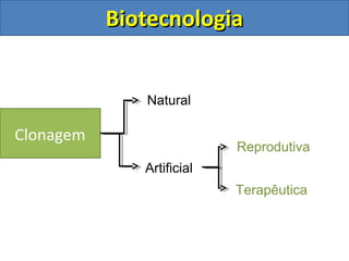 BiotecnologiaBiotecnologia
Clonagem
Natural
Artificial
Reprodutiva
Terapêutica
 