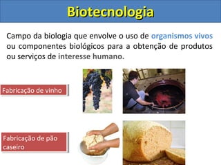 BiotecnologiaBiotecnologia
Campo da biologia que envolve o uso de organismos vivos
ou componentes biológicos para a obtenção de produtos
ou serviços de interesse humano.
Fabricação de vinhoFabricação de vinho
Fabricação de pão
caseiro
Fabricação de pão
caseiro
 