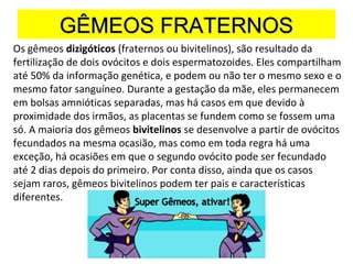 GÊMEOS FRATERNOSGÊMEOS FRATERNOS
Os gêmeos dizigóticos (fraternos ou bivitelinos), são resultado da
fertilização de dois ovócitos e dois espermatozoides. Eles compartilham
até 50% da informação genética, e podem ou não ter o mesmo sexo e o
mesmo fator sanguíneo. Durante a gestação da mãe, eles permanecem
em bolsas amnióticas separadas, mas há casos em que devido à
proximidade dos irmãos, as placentas se fundem como se fossem uma
só. A maioria dos gêmeos bivitelinos se desenvolve a partir de ovócitos
fecundados na mesma ocasião, mas como em toda regra há uma
exceção, há ocasiões em que o segundo ovócito pode ser fecundado
até 2 dias depois do primeiro. Por conta disso, ainda que os casos
sejam raros, gêmeos bivitelinos podem ter pais e características
diferentes.
 