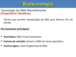 Tecnologia do DNA Recombinante
(Engenharia Genética)
Técnica que permite manipulação do DNA para diversos fins de
estudo.
Ferramentas principais:
 Plasmídeos: DNA circular bacteriano.
 Enzimas de restrição: Cortam o DNA em locais específicos.
 Enzimas ligase: Unem fragmentos de DNA.
BiotecnologiaBiotecnologia
 