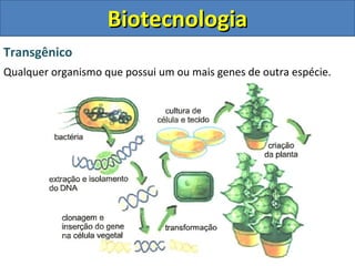 Transgênico
Qualquer organismo que possui um ou mais genes de outra espécie.
BiotecnologiaBiotecnologia
 