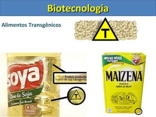 Alimentos Transgênicos
BiotecnologiaBiotecnologia
 