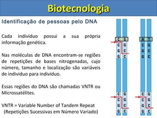 Identificação de pessoas pelo DNA
BiotecnologiaBiotecnologia
Cada indivíduo possui a sua própria
informação genética.
Nas moléculas de DNA encontram-se regiões
de repetições de bases nitrogenadas, cujo
número, tamanho e localização são variáveis
de individuo para indivíduo.
Essas regiões do DNA são chamadas VNTR ou
Microssatélites.
VNTR = Variable Number of Tandem Repeat
(Repetições Sucessivas em Número Variado)
 