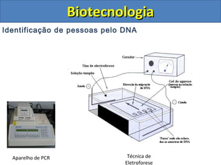 Identificação de pessoas pelo DNA
BiotecnologiaBiotecnologia
Aparelho de PCR Técnica de
Eletroforese
 