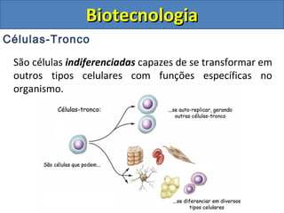 Células-Tronco
São células indiferenciadas capazes de se transformar em
outros tipos celulares com funções específicas no
organismo.
BiotecnologiaBiotecnologia
 