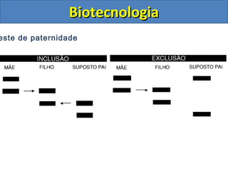 BiotecnologiaBiotecnologia
este de paternidade
 