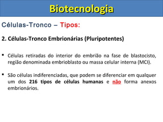 Células-Tronco – Tipos:
2. Células-Tronco Embrionárias (Pluripotentes)
 Células retiradas do interior do embrião na fase de blastocisto,
região denominada embrioblasto ou massa celular interna (MCI).
 São células indiferenciadas, que podem se diferenciar em qualquer
um dos 216 tipos de células humanas e não forma anexos
embrionários.
BiotecnologiaBiotecnologia
 