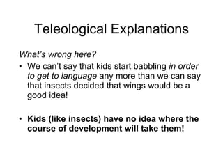 Teleological Explanations What’s wrong here? We can’t say that kids start babbling  in order to get to language  any more than we can say that insects decided that wings would be a good idea! Kids (like insects) have no idea where the course of development will take them! 