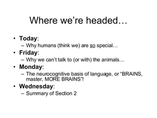 Where we’re headed… Today :  Why humans (think we) are  so  special… Friday :  Why we can’t talk to (or with) the animals… Monday : The neurocognitive basis of language, or “BRAINS, master, MORE BRAINS”! Wednesday : Summary of Section 2 