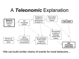 A  Teleonomic  Explanation Behavior Kid learns mother’s voice. Kid recognizes mother. Kid figures mother is a good person to attach to. Kid is taken care of by mother. KID LIVES! Kid isn’t so scared of the world. Kid is comfortable in a nurturing environment Kid undergoes fruitful social-cognitive development. Kid exposed to plenty of language stimuli from mother. KID ACQUIRES LANGUAGE! We can build similar chains of events for most behaviors… 