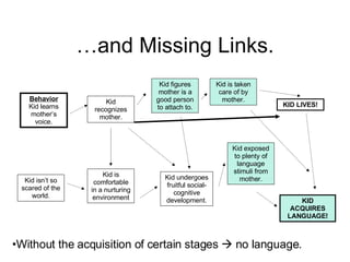 …and Missing Links. Behavior Kid learns mother’s voice. Kid recognizes mother. Kid figures mother is a good person to attach to. Kid is taken care of by mother. KID LIVES! Kid isn’t so scared of the world. Kid is comfortable in a nurturing environment Kid undergoes fruitful social-cognitive development. Kid exposed to plenty of language stimuli from mother. KID ACQUIRES LANGUAGE! Without the acquisition of certain stages    no language. 