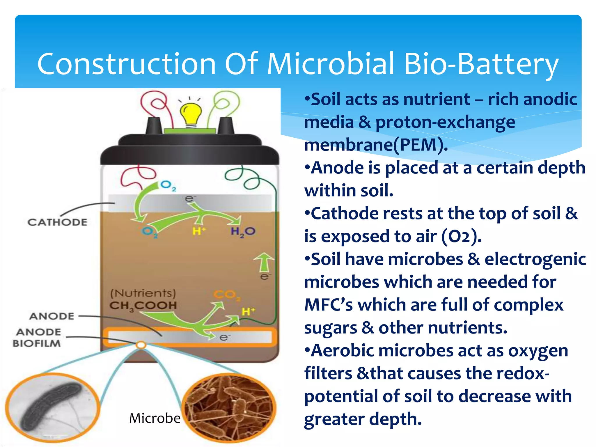 Construction Of Microbial Bio-Battery
•Soil acts as nutrient – rich anodic
media & proton-exchange
membrane(PEM).
•Anode is placed at a certain depth
within soil.
•Cathode rests at the top of soil &
is exposed to air (O2).
•Soil have microbes & electrogenic
microbes which are needed for
MFC’s which are full of complex
sugars & other nutrients.
•Aerobic microbes act as oxygen
filters &that causes the redox-
potential of soil to decrease with
greater depth.
Microbe
 