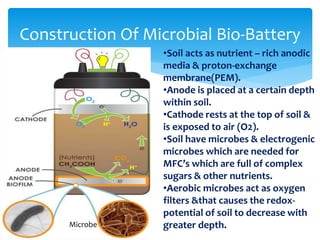 Bio batteries | PPTX