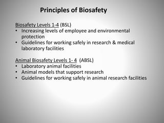 Principles of Biosafety
Biosafety Levels 1-4 (BSL)
• Increasing levels of employee and environmental
protection
• Guidelines for working safely in research & medical
laboratory facilities
Animal Biosafety Levels 1- 4 (ABSL)
• Laboratory animal facilities
• Animal models that support research
• Guidelines for working safely in animal research facilities
 
