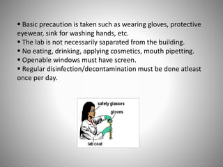  Basic precaution is taken such as wearing gloves, protective
eyewear, sink for washing hands, etc.
 The lab is not necessarily saparated from the building.
 No eating, drinking, applying cosmetics, mouth pipetting.
 Openable windows must have screen.
 Regular disinfection/decontamination must be done atleast
once per day.
 