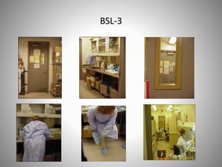 BSL-3
 