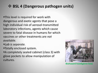  BSL 4 (Dangerous pathogen units)
This level is required for work with
dangerous and exotic agents that pose a
high individual risk of aerosol-transmitted
laboratory infections, agents which cause
severe to fatal disease in humans for which
vaccines or other treatments are not
available.
Lab is separate.
Totally enclosed system.
A completely sealed cabinet (class 3) with
glove pockets to allow manipulation of
cultures.
Biohazard hood(glove box)
 