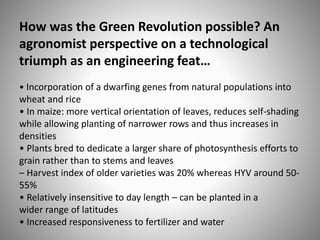How was the Green Revolution possible? An
agronomist perspective on a technological
triumph as an engineering feat…
• Incorporation of a dwarfing genes from natural populations into
wheat and rice
• In maize: more vertical orientation of leaves, reduces self-shading
while allowing planting of narrower rows and thus increases in
densities
• Plants bred to dedicate a larger share of photosynthesis efforts to
grain rather than to stems and leaves
– Harvest index of older varieties was 20% whereas HYV around 50-
55%
• Relatively insensitive to day length – can be planted in a
wider range of latitudes
• Increased responsiveness to fertilizer and water
 