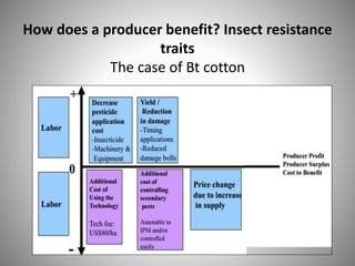How does a producer benefit? Insect resistance
traits
The case of Bt cotton
 