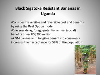 Black Sigatoka Resistant Bananas in
Uganda
•Consider irreversible and reversible cost and benefits
by using the Real Option model
•One year delay, forego potential annual (social)
benefits of +/- US$200 million
•A GM banana with tangible benefits to consumers
increases their acceptance for 58% of the population
 