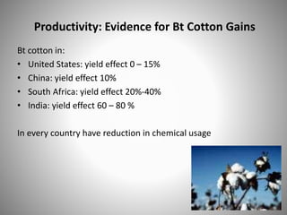 Productivity: Evidence for Bt Cotton Gains
Bt cotton in:
• United States: yield effect 0 – 15%
• China: yield effect 10%
• South Africa: yield effect 20%-40%
• India: yield effect 60 – 80 %
In every country have reduction in chemical usage
 