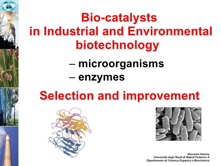 Bio Catalysts