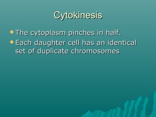CytokinesisCytokinesis
 The cytoplasm pinches in half.The cytoplasm pinches in half.
 Each daughter cell has an identicalEach daughter cell has an identical
set of duplicate chromosomesset of duplicate chromosomes
 