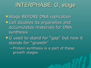 INTERPHASE: GINTERPHASE: G11 stagestage
 Stage BEFORE DNA replicationStage BEFORE DNA replication
 Cell doubles its organelles andCell doubles its organelles and
accumulates materials for DNAaccumulates materials for DNA
synthesissynthesis
 G used to stand for “gap” but now itG used to stand for “gap” but now it
stands for “growth”stands for “growth”
– Protein synthesis is a part of theseProtein synthesis is a part of these
growth stagesgrowth stages
 