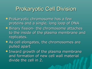 Prokaryotic Cell DivisionProkaryotic Cell Division
 Prokaryotic chromosome has a fewProkaryotic chromosome has a few
proteins and a single, long loop of DNAproteins and a single, long loop of DNA
 Binary fission- the chromosome attachesBinary fission- the chromosome attaches
to the inside of the plasma membrane andto the inside of the plasma membrane and
replicates.replicates.
 As cell elongates, the chromosomes areAs cell elongates, the chromosomes are
pulled apartpulled apart
 Inward growth of the plasma membraneInward growth of the plasma membrane
and formation of new cell wall materialand formation of new cell wall material
divide the cell in 2.divide the cell in 2.
 