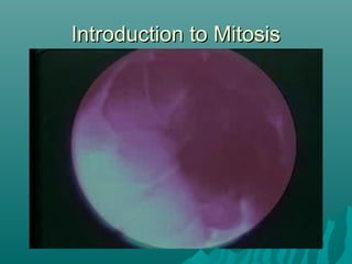Introduction to MitosisIntroduction to Mitosis
 