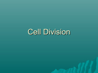 Cell DivisionCell Division
 