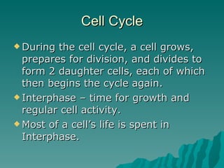 Bio Cell Division | PPT