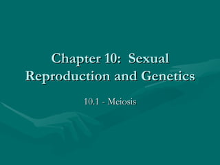 Chapter 10:  Sexual Reproduction and Genetics 10.1 - Meiosis 