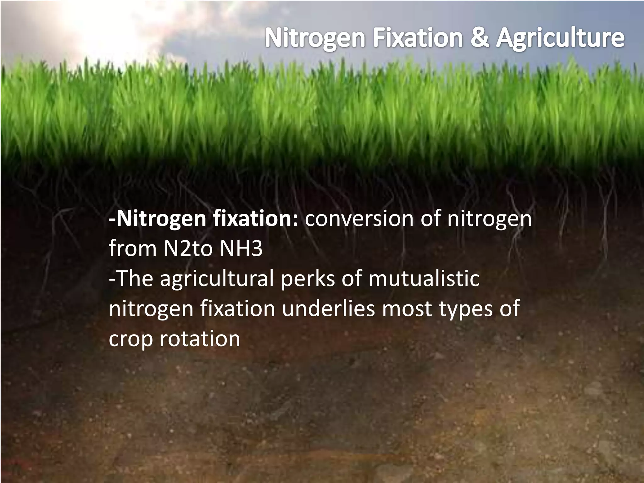 -Nitrogen fixation: conversion of nitrogen
from N2to NH3
-The agricultural perks of mutualistic
nitrogen fixation underlies most types of
crop rotation
 