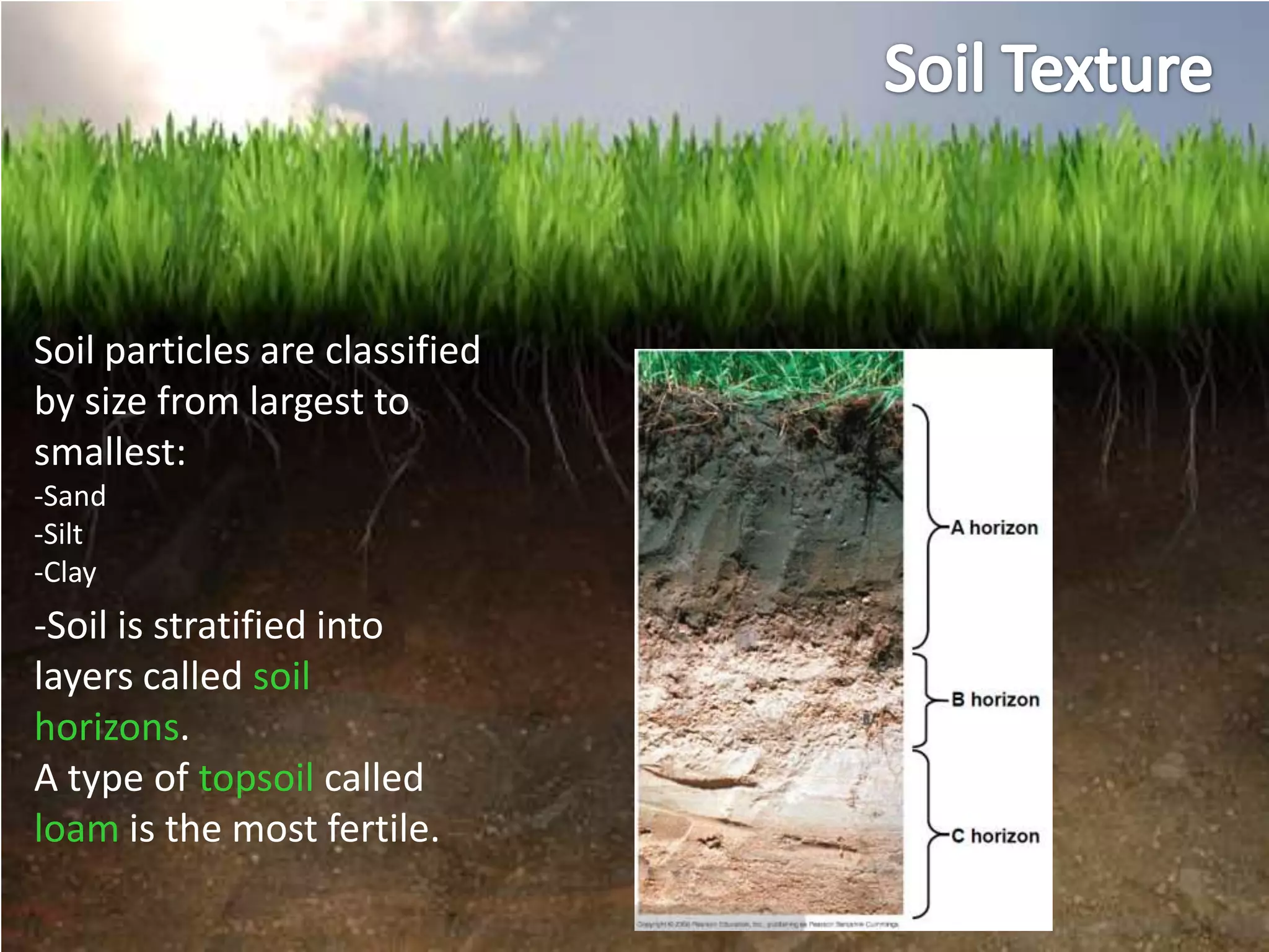 Soil particles are classified
by size from largest to
smallest:
-Sand
-Silt
-Clay
-Soil is stratified into
layers called soil
horizons.
A type of topsoil called
loam is the most fertile.
 