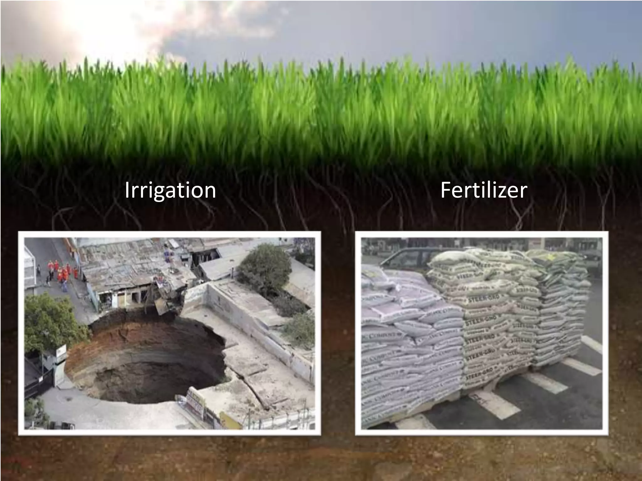 Irrigation   Fertilizer
 