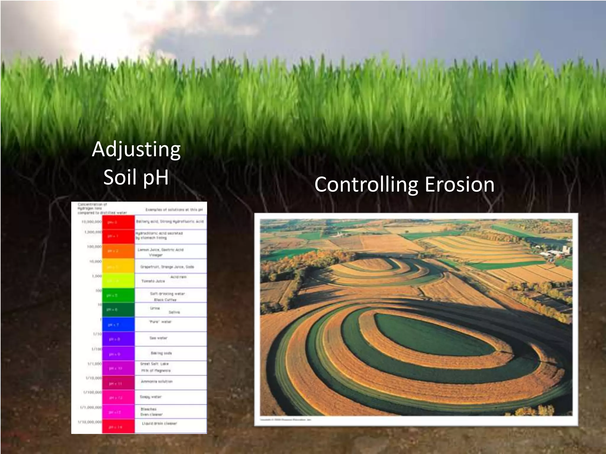 Adjusting
 Soil pH    Controlling Erosion
 