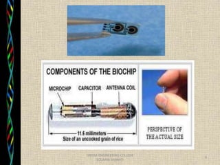 Biochip Rda Bio chip | PPTX