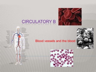 CIRCULATORY B



     Blood vessels and the blood
 