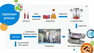 Bio cmc development | PDF