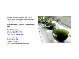 Si desean ampliar información acerca de la
Fabricación de Biodiesel apartir de Microalgas,
pueden concertar una cita
Departamento de Estudios en Ciencias del Mar
UNA
Ana margarita Silva
Escuela de Biologia/CIMAR
Universidad de Costa Rica
Email: ANA.SILVA@ucr.ac.cr
Lic Narcy Villalobos
Investigadora UNA
Telefono: 2277-3233
Email: narcy.villalobos.sandi@ una.cr
 