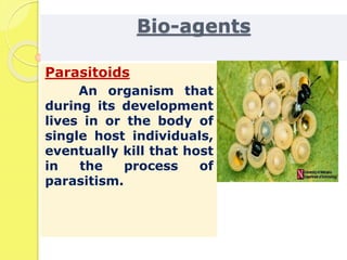 Bio-agents
Parasitoids
An organism that
during its development
lives in or the body of
single host individuals,
eventually kill that host
in the process of
parasitism.
 