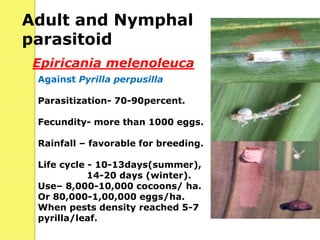 Epiricania melenoleuca
Adult and Nymphal
parasitoid
Against Pyrilla perpusilla
Parasitization- 70-90percent.
Fecundity- more than 1000 eggs.
Rainfall – favorable for breeding.
Life cycle - 10-13days(summer),
14-20 days (winter).
Use– 8,000-10,000 cocoons/ ha.
Or 80,000-1,00,000 eggs/ha.
When pests density reached 5-7
pyrilla/leaf.
 