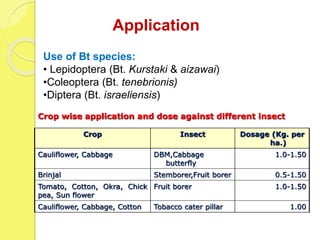 Crop Insect Dosage (Kg. per
ha.)
Cauliflower, Cabbage DBM,Cabbage
butterfly
1.0-1.50
Brinjal Stemborer,Fruit borer 0.5-1.50
Tomato, Cotton, Okra, Chick
pea, Sun flower
Fruit borer 1.0-1.50
Cauliflower, Cabbage, Cotton Tobacco cater pillar 1.00
Crop wise application and dose against different insect
Use of Bt species:
• Lepidoptera (Bt. Kurstaki & aizawai)
•Coleoptera (Bt. tenebrionis)
•Diptera (Bt. israeliensis)
Application
 